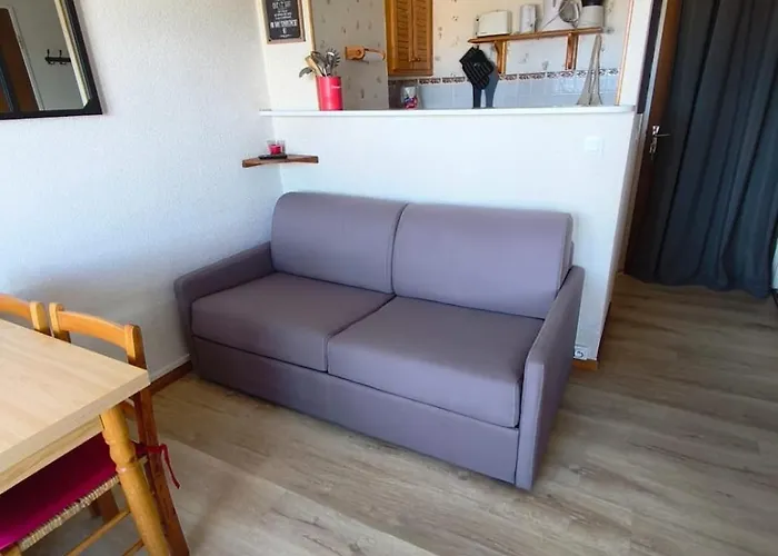 Apartament Les Fleches Pieds Des Pistes - Les Angles